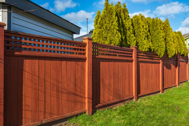 cedar fence vs treated wood